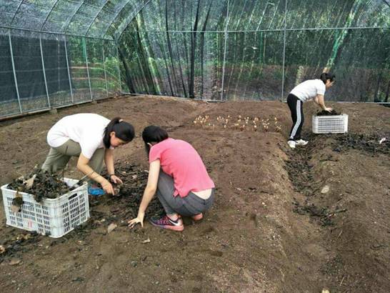 96BC135938EA5FC0221DCECBFE9919B1